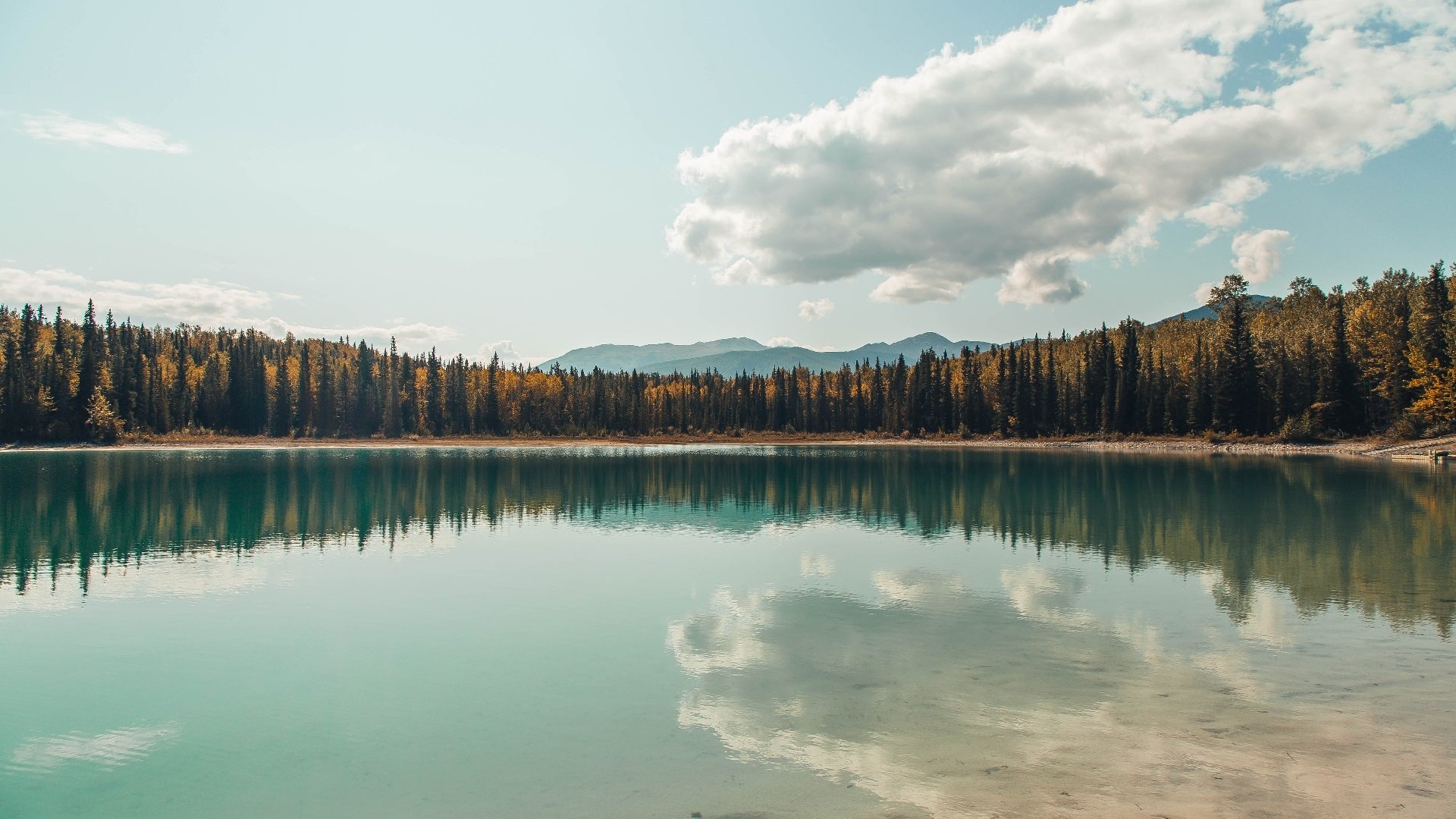开云网页版-从零到英雄：年轻球员成长的精彩故事，球员的经历