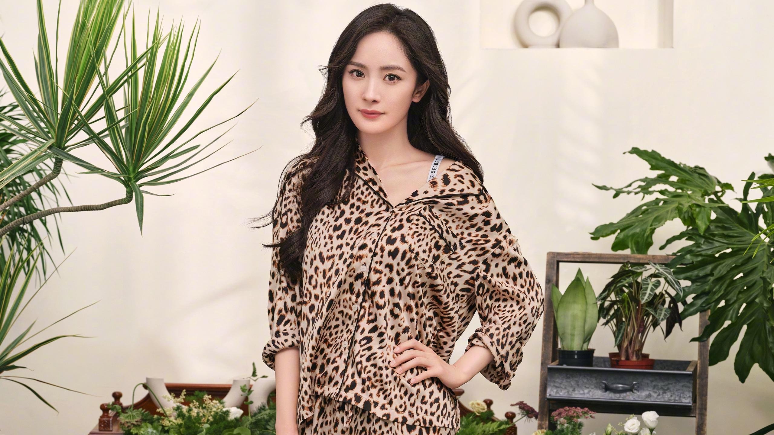 开云官方网站-传统武术巡演：古老技艺的现代演绎，传统武术节目