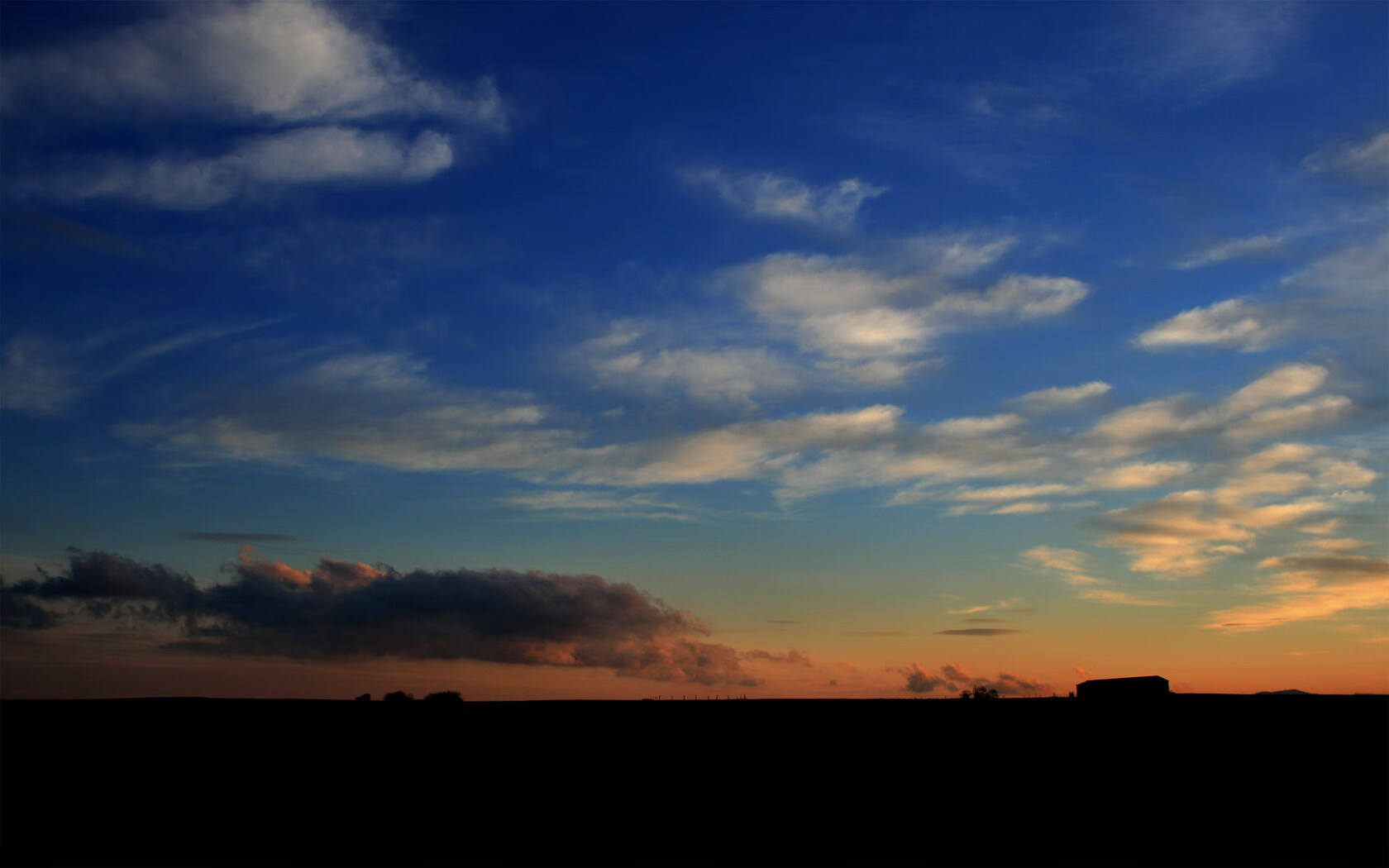 克罗地亚马术协会与兽医合作,开展马匹疾病预防与治疗研究。,克罗地亚 马可波罗