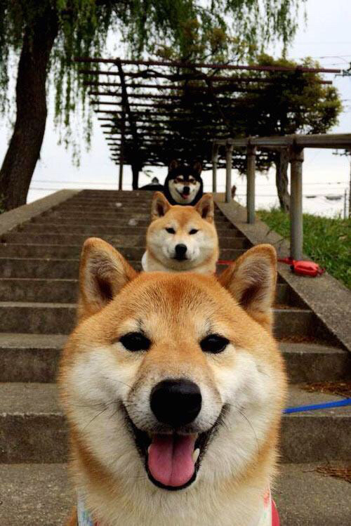 kaiyun登录入口-全国青少年“篮球文化交流节”在郑州盛大举行，促进区域合作，2019全国青少年篮球特色学校