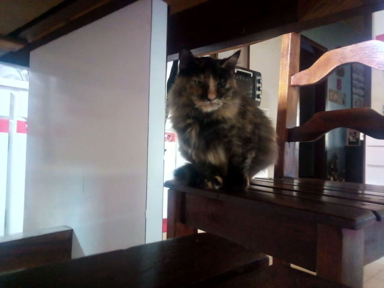 墨西哥男足小组赛全胜，晋级淘汰赛，墨西哥男足奥运赛程