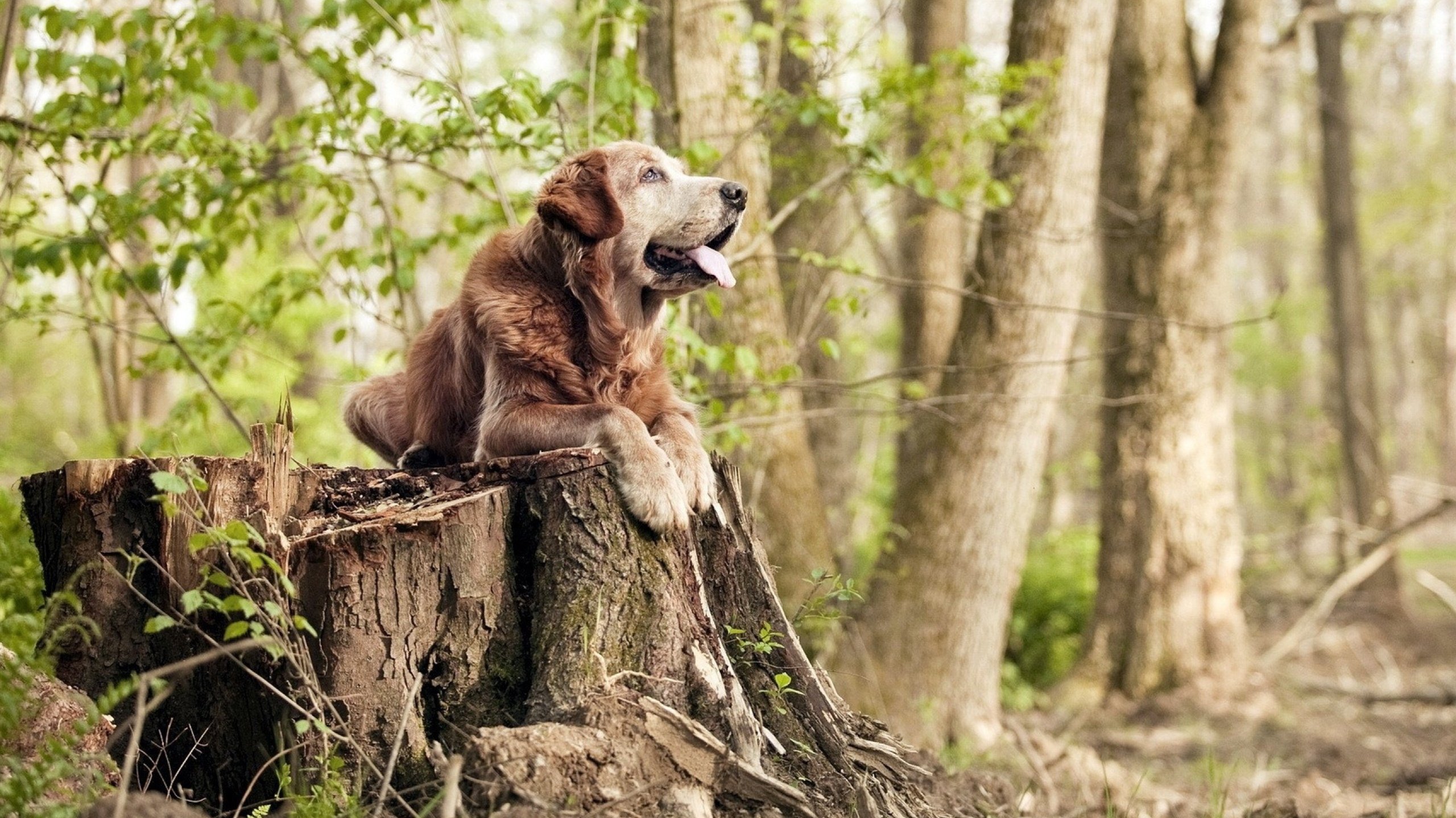 kaiyun体育app-守望先锋 俱乐部间竞争日益激烈，守望先锋俱乐部有哪些