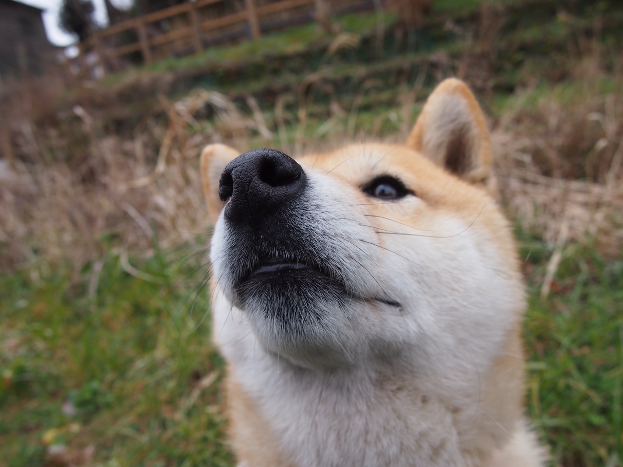 开云平台-球迷欢呼：王强最后三分绝杀，现场气氛爆棚！，王强去哪了