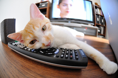 KAIYUN 中国大陆-电竞产业与金融产业的合作：投资、理财与消费信贷，电竞行业与经济