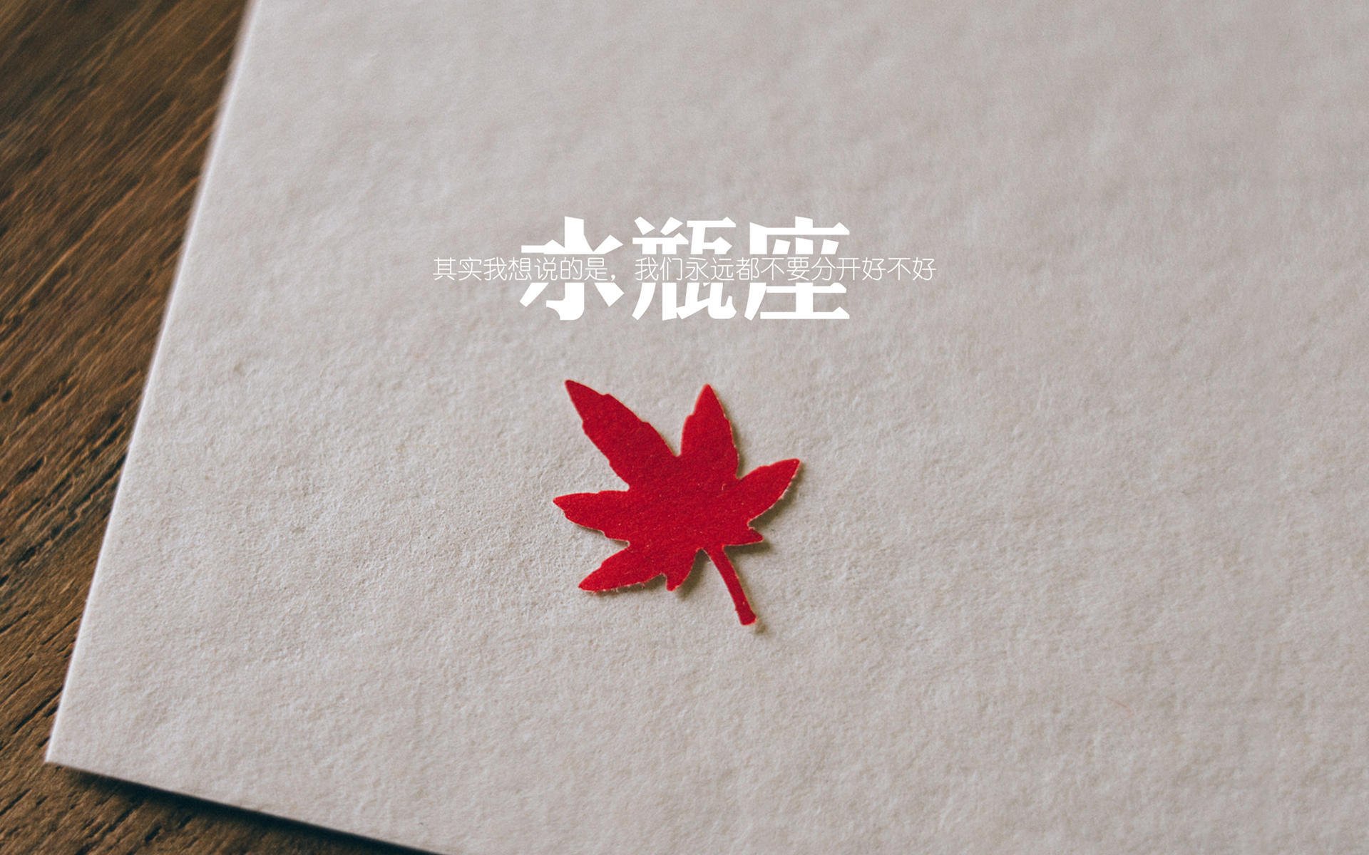 英超“金童”崭露头角,引领年轻球员崛起潮流,英超金靴奖最年轻球员