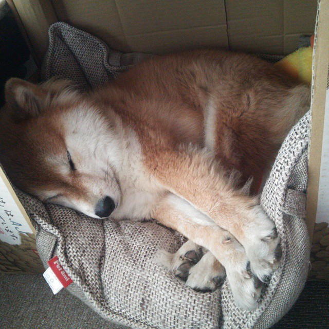 英雄联盟 夏季赛阶段性总结,英雄联盟夏季赛百度百科