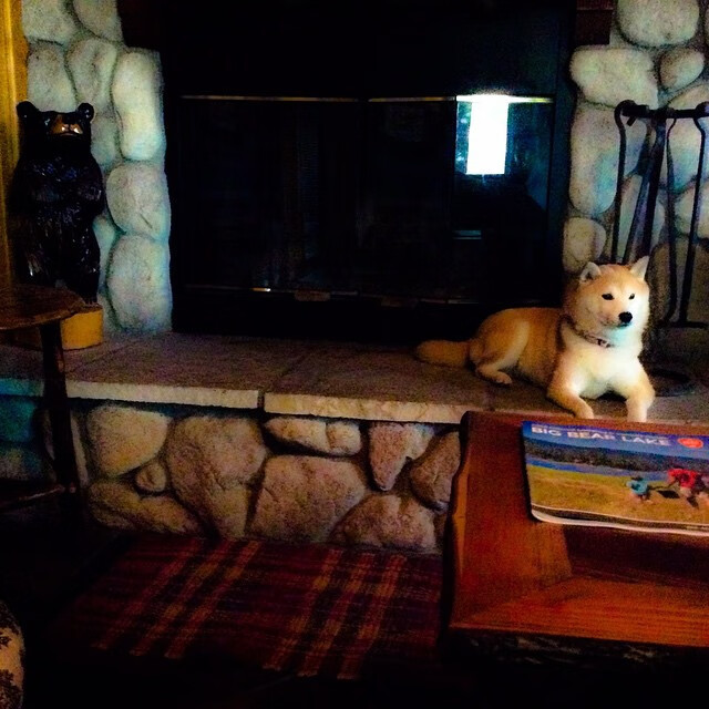 开云官网-逆境中成长：球员在伤病康复期的励志故事，球员伤愈复出