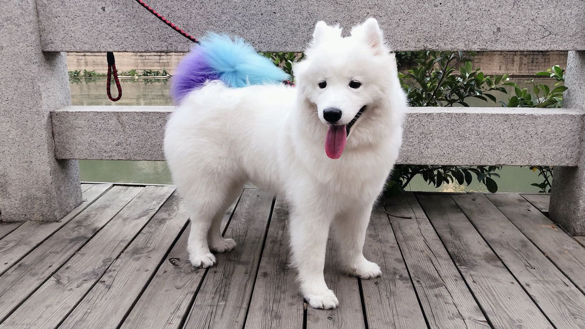 开云官网-青少年“奔跑梦想”在福州举办大型青训交流会，推动青训普及，福州青少年训练基地