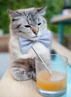 LCK主办“电竞运动员心理健康日”活动