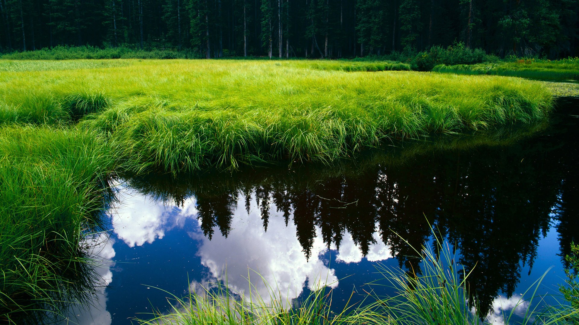 开云平台-中国篮球运动员心理素质提升策略，篮球心理素质训练方法