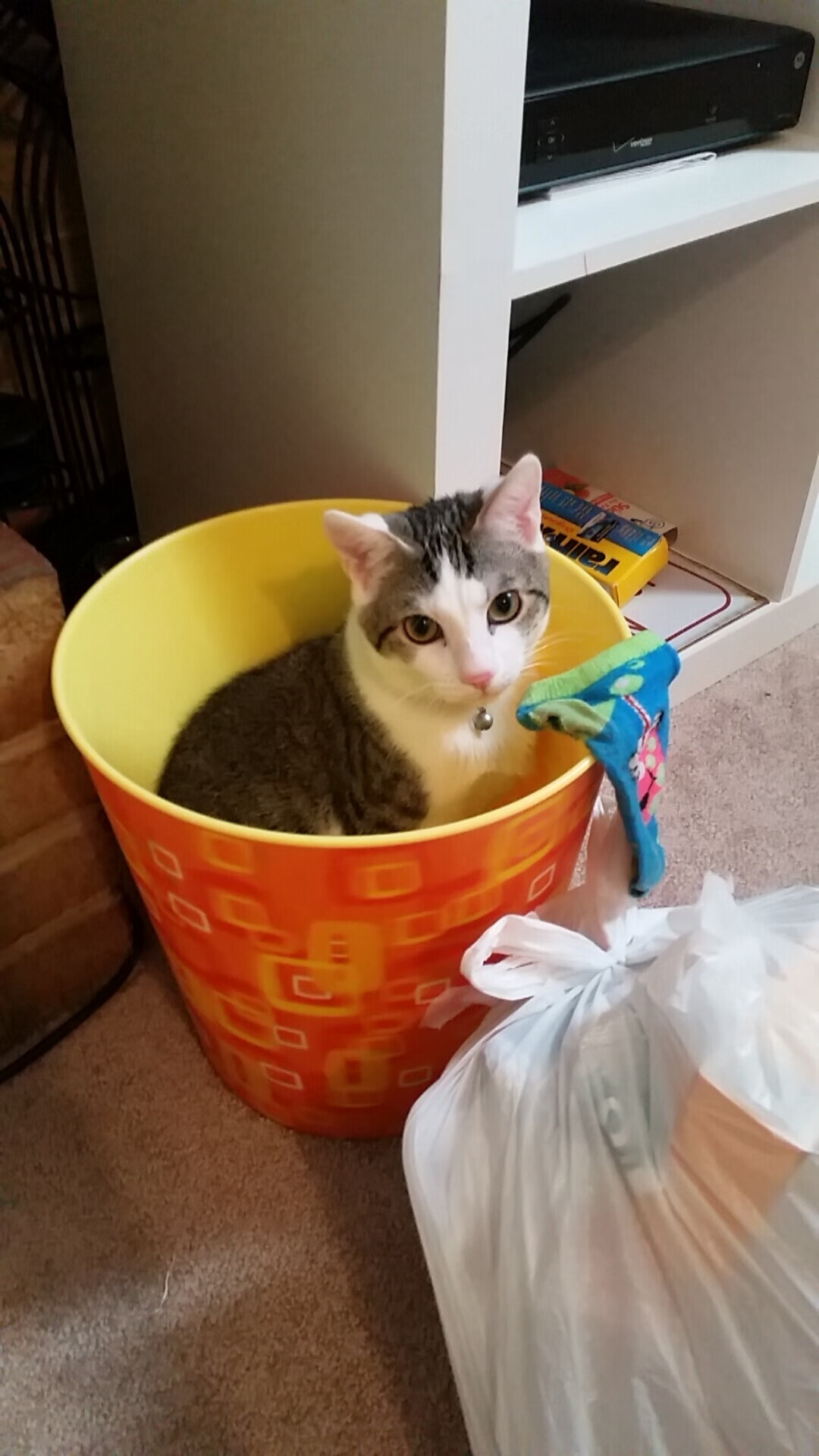 开云入口-冬奥神队？墨西哥靠足球冰场逆天翻盘，奥运会 墨西哥