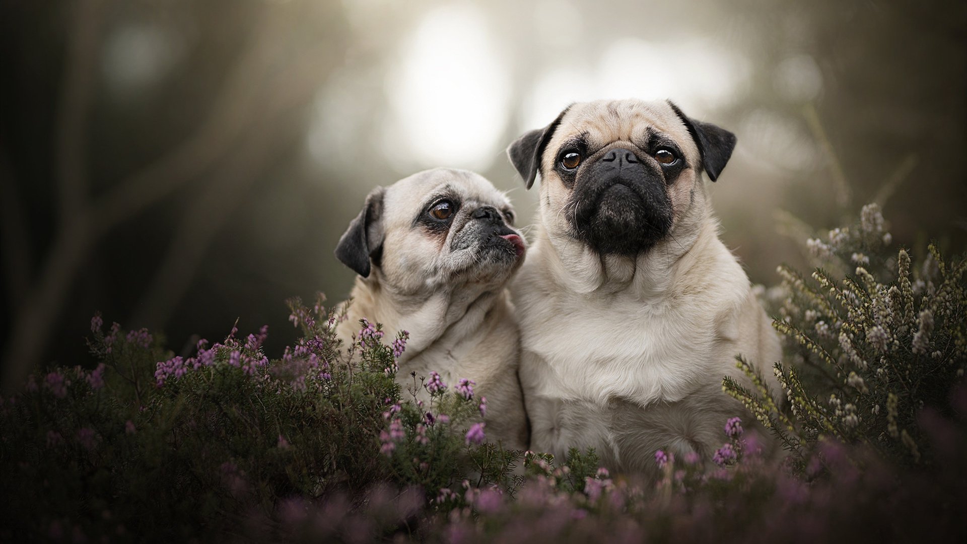 年轻球员崭露头角,展现出色表现获称赞,年轻球员身价排名