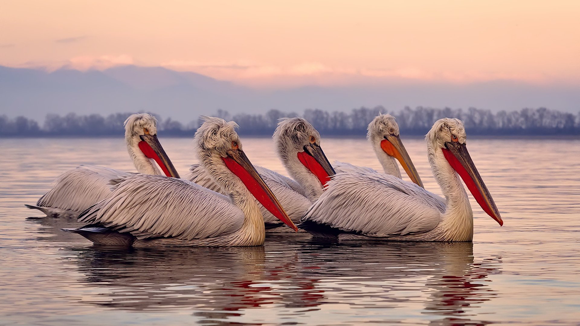 开云官方网站-快船大胜步行者，全明星赛前哨战中乔治砍下47分，快船队乔治