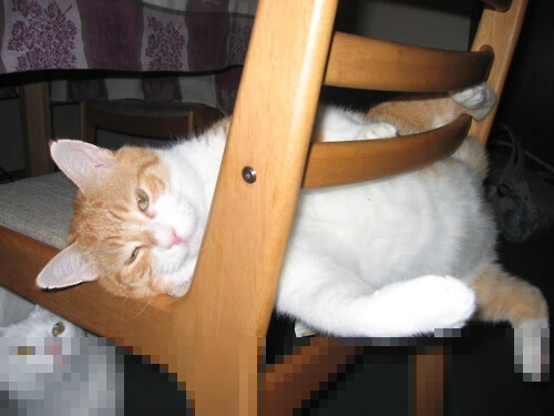 斯洛特在比赛中注重控球，提升球队控球率，斯洛克规则进球顺序是