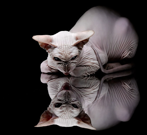 河床篮球队赛季开局表现抢眼，河床队球场