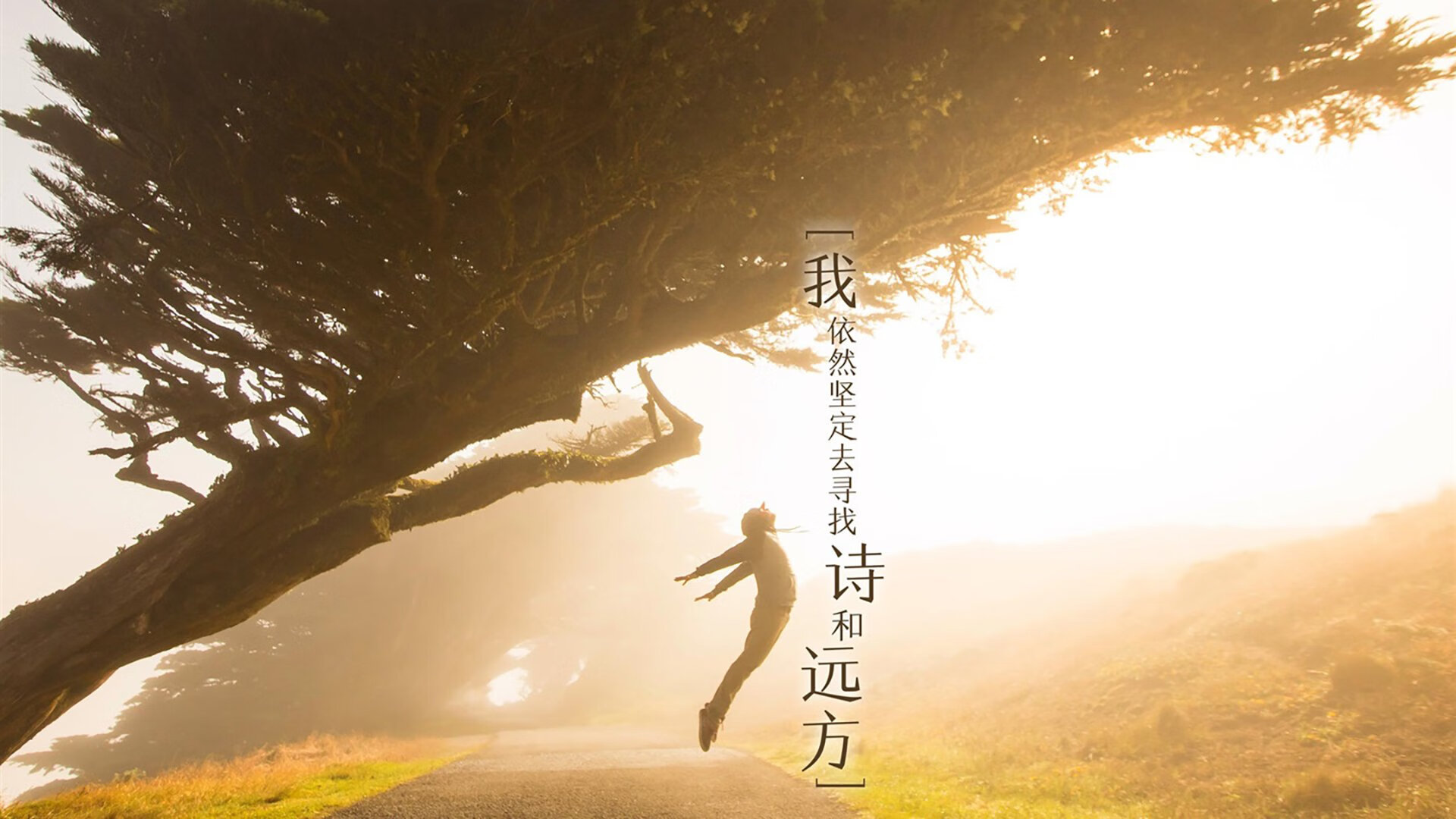 电竞游戏内观战系统创新设计与观众体验提升实践,电竞观众席图片