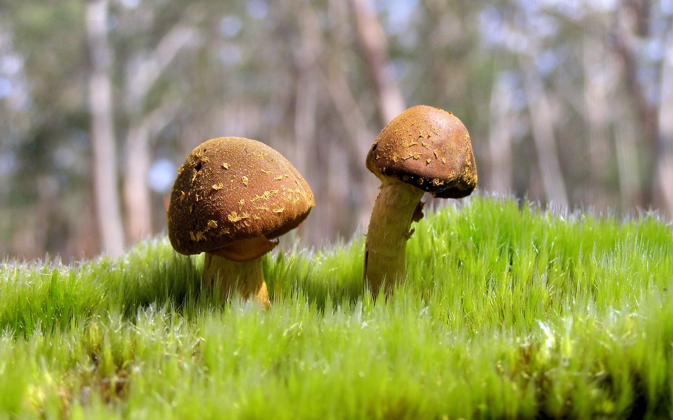 开云网站-电竞赛事与传统体育跨界合作，电竞与传统体育的区别与关系