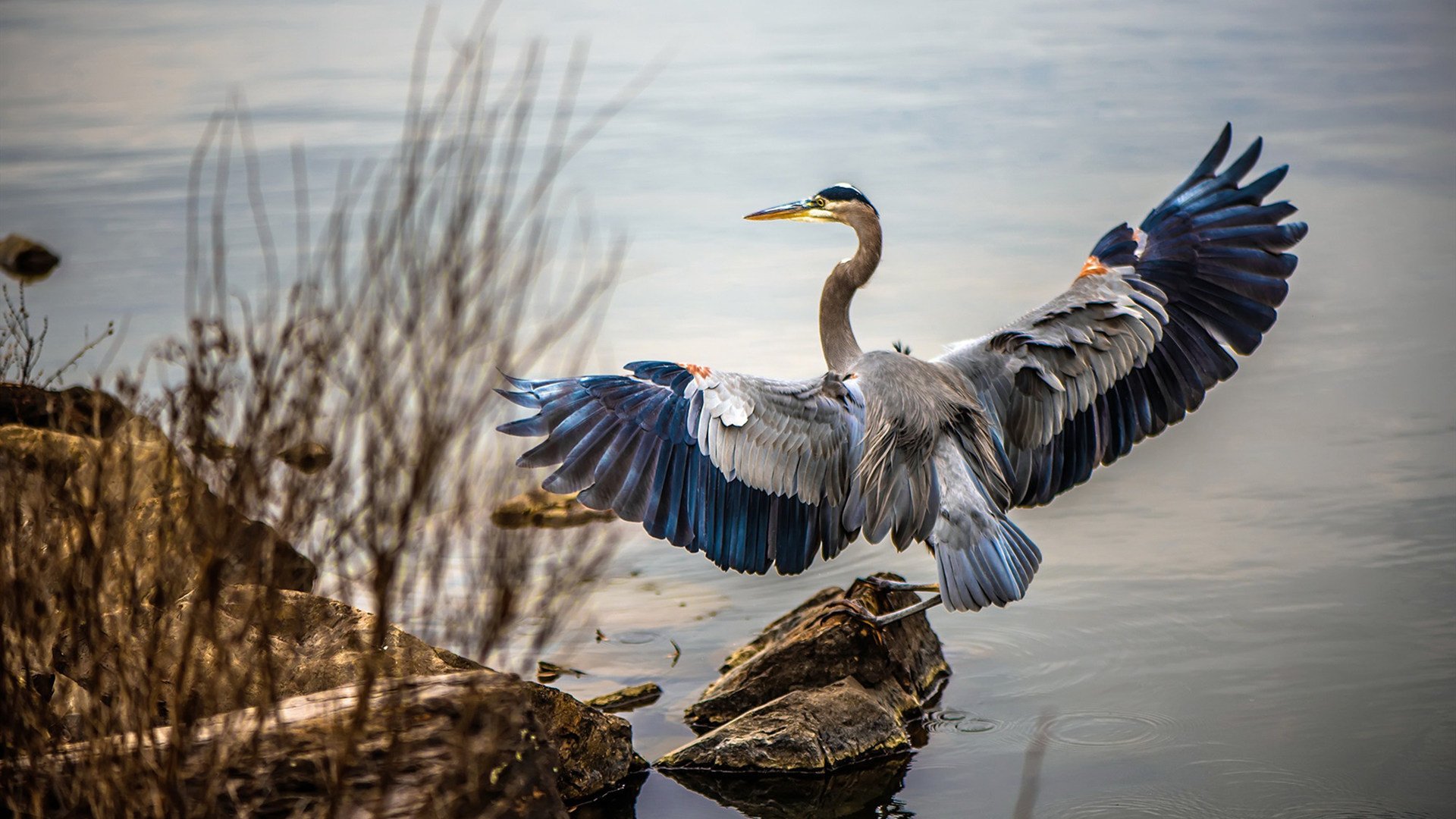 开云体育APP下载-米德尔斯堡客场挫败，保级形势雪上加霜，米德尔斯堡地理位置