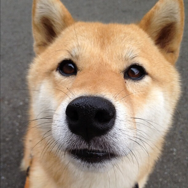 开云·体育官网APP下载-联盟政策调整，促进球员技能提升，改变联盟打法的球员