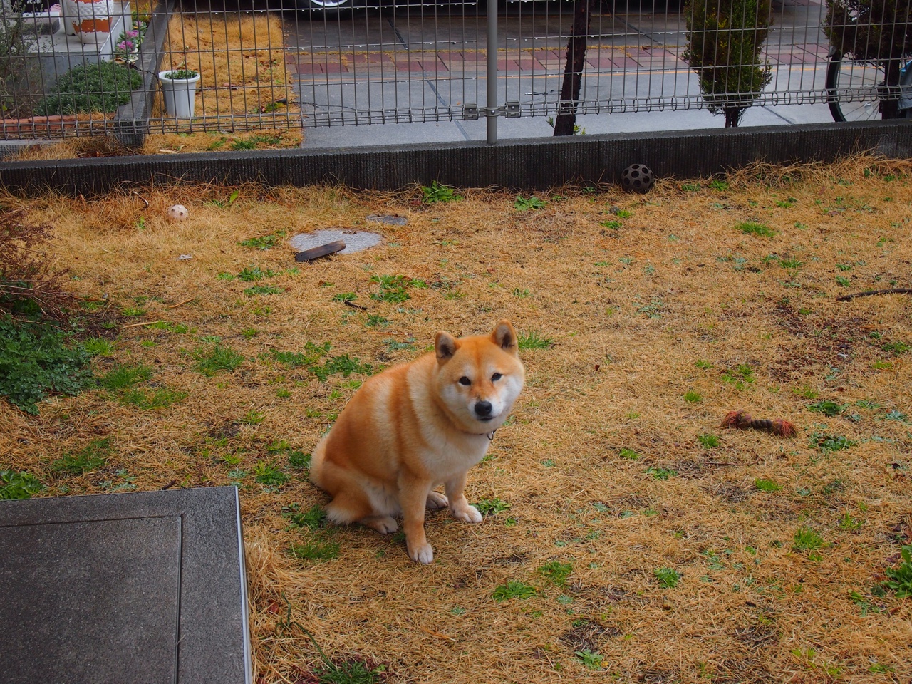 开云·体育官网APP下载-英格兰男足收获铜牌，完美谢幕，英格兰男足国家队