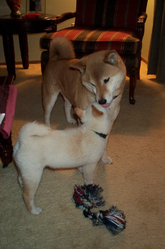 kaiyun中国官方网站-高身价转会是否面临超预期表现压力，转会市场身价