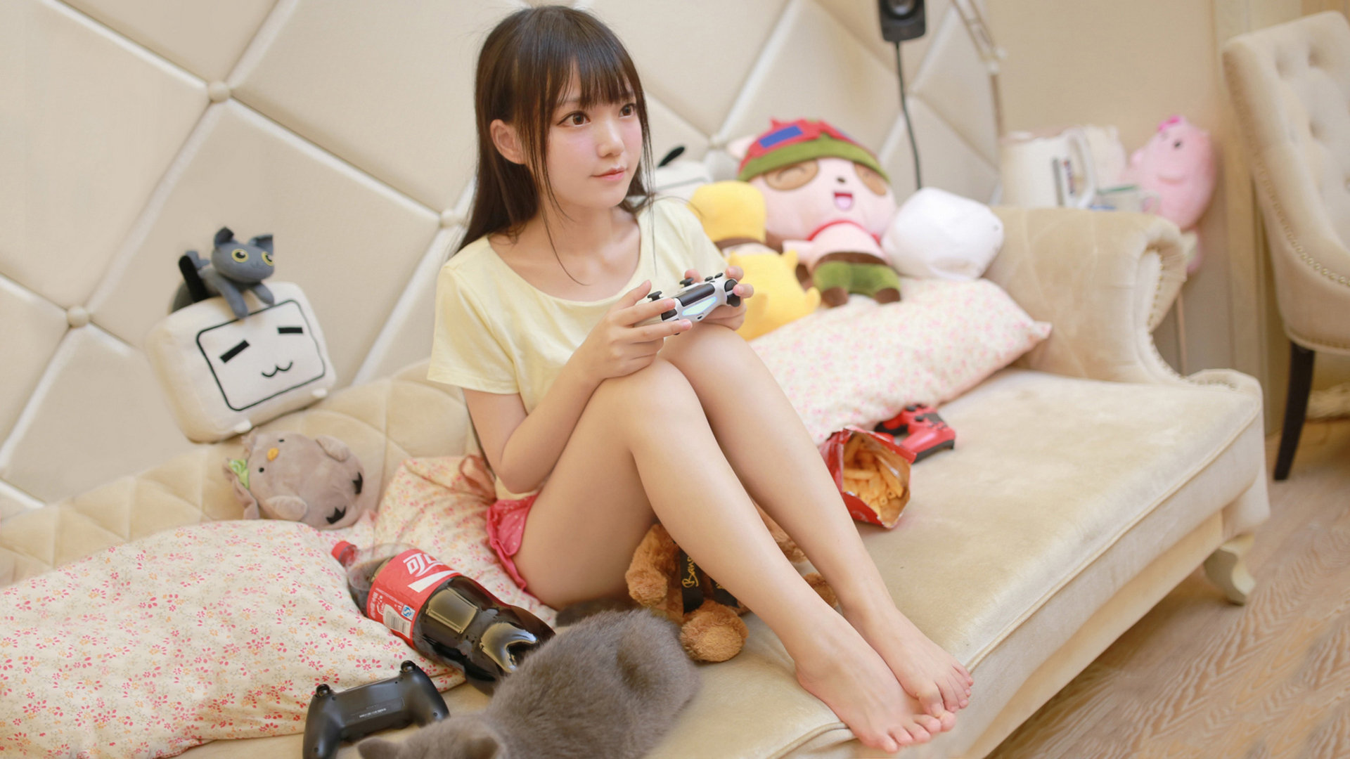 kaiyun.com-中国篮球职业联赛俱乐部财务管理风险防控研究，篮球俱乐部企业概况