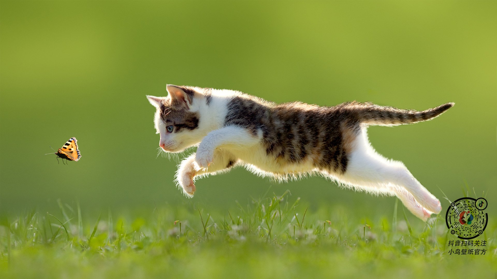 中超球队主客场表现差异,中超联赛主客场