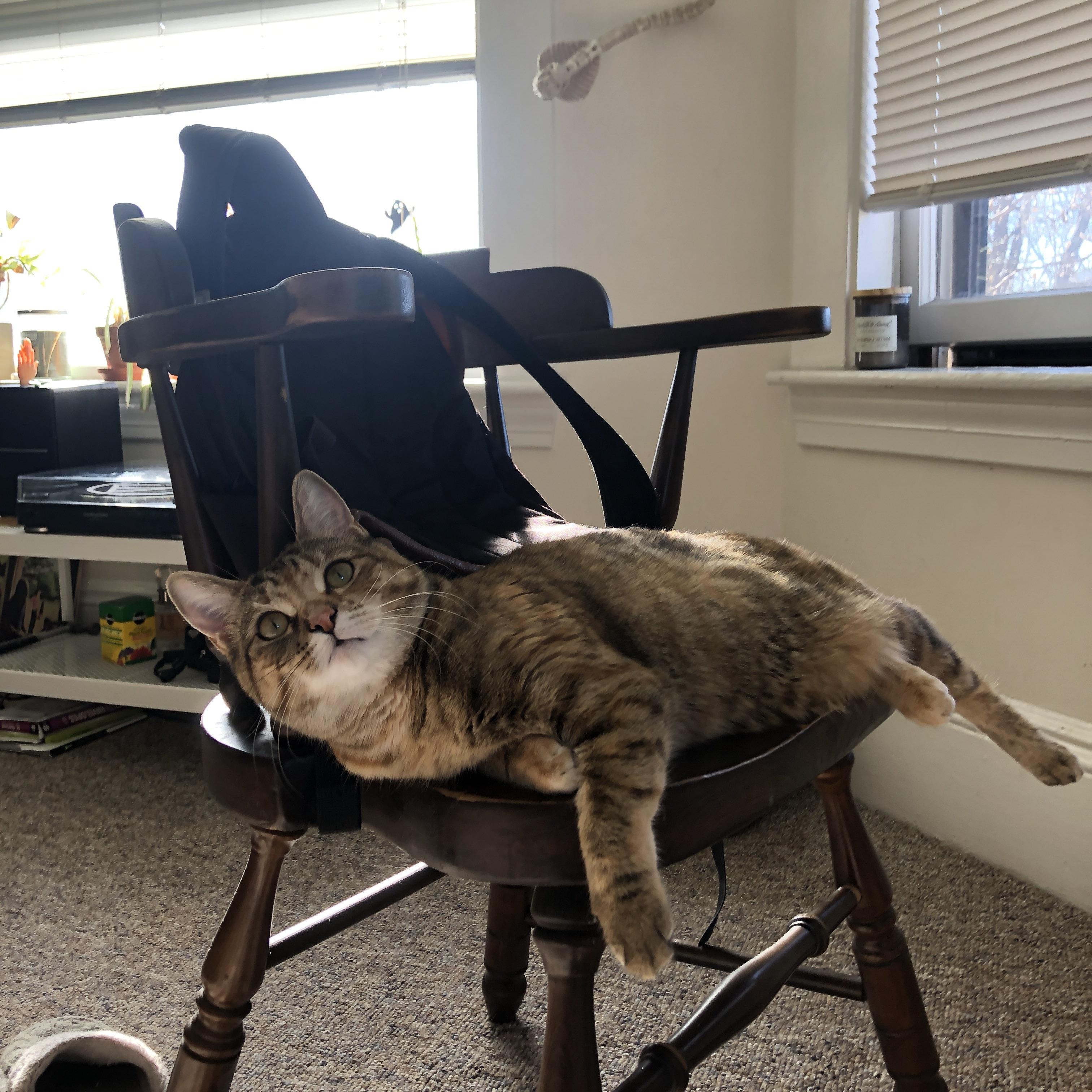 体育场馆设施人性化设计对用户体验的影响分析,体育场馆市场化运营的策略有哪些