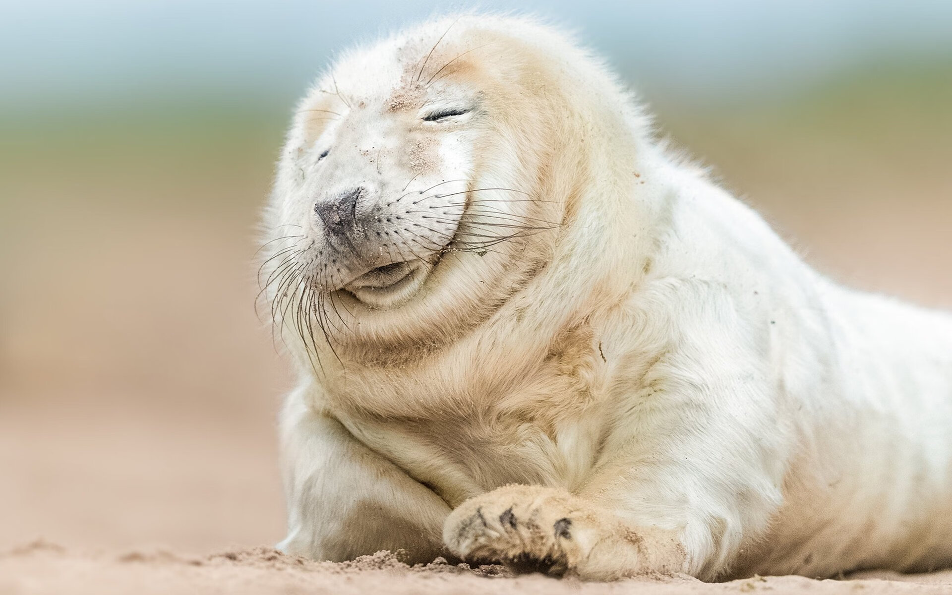 俱乐部文化：球队背后的人文故事，球队俱乐部靠什么盈利