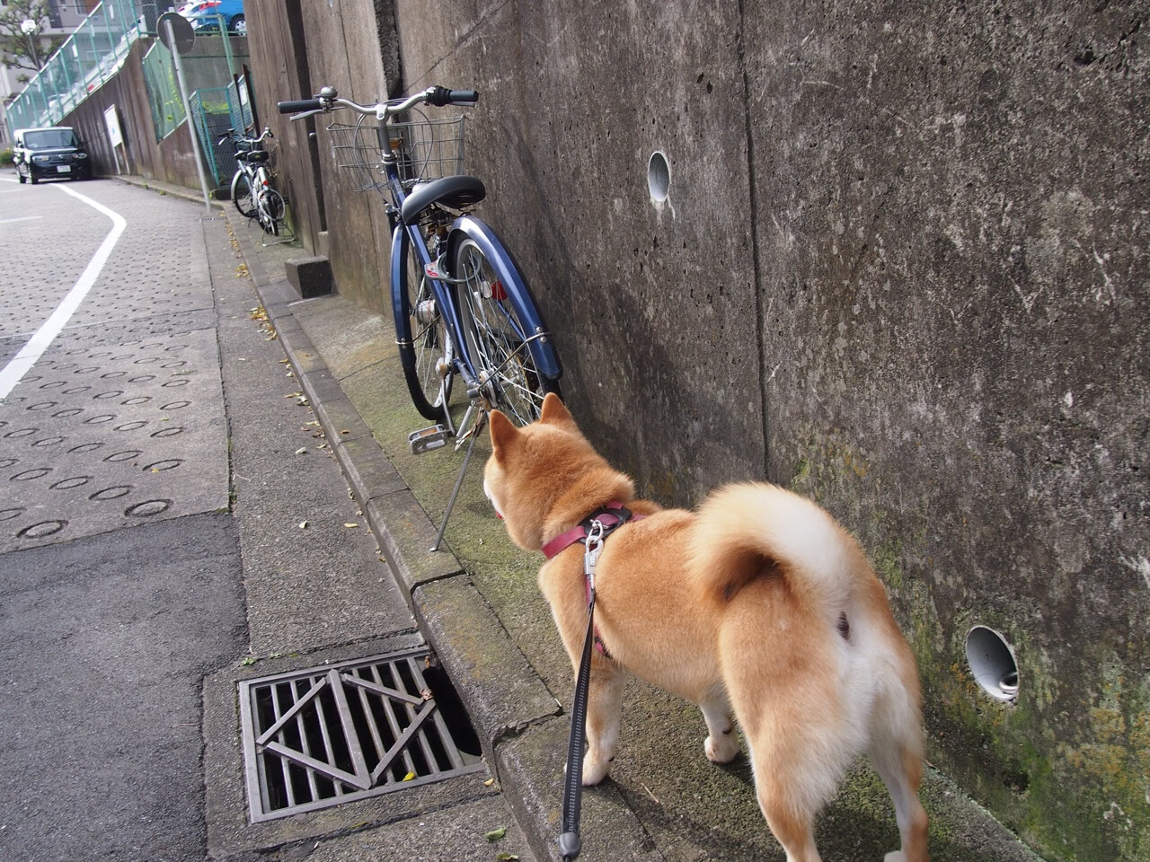 校园体育场馆智能管理与节能技术应用研究,体育场馆智能化设计方案