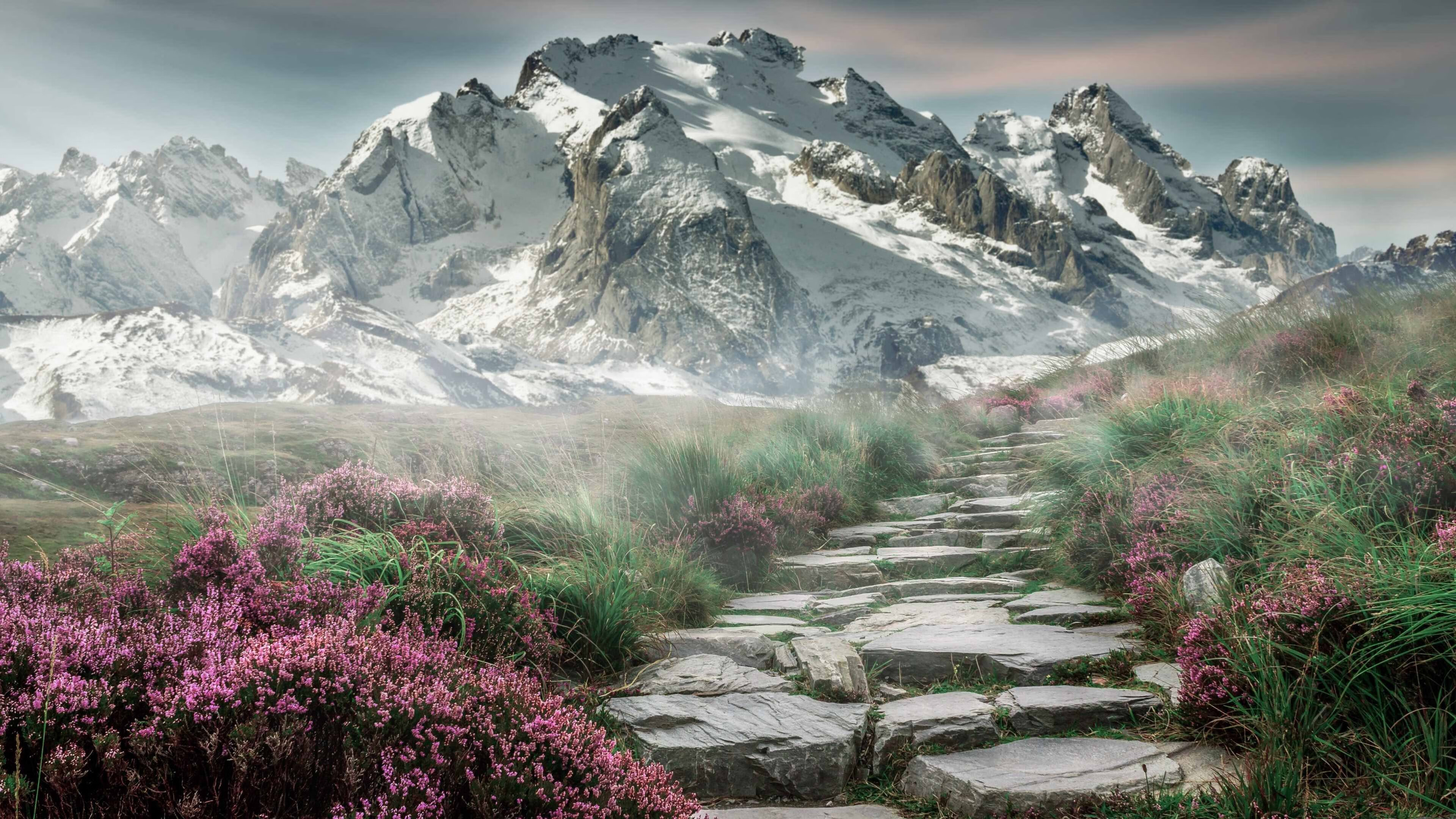 冬奥场地模拟平台提升新手训练效率，冬奥场馆模型