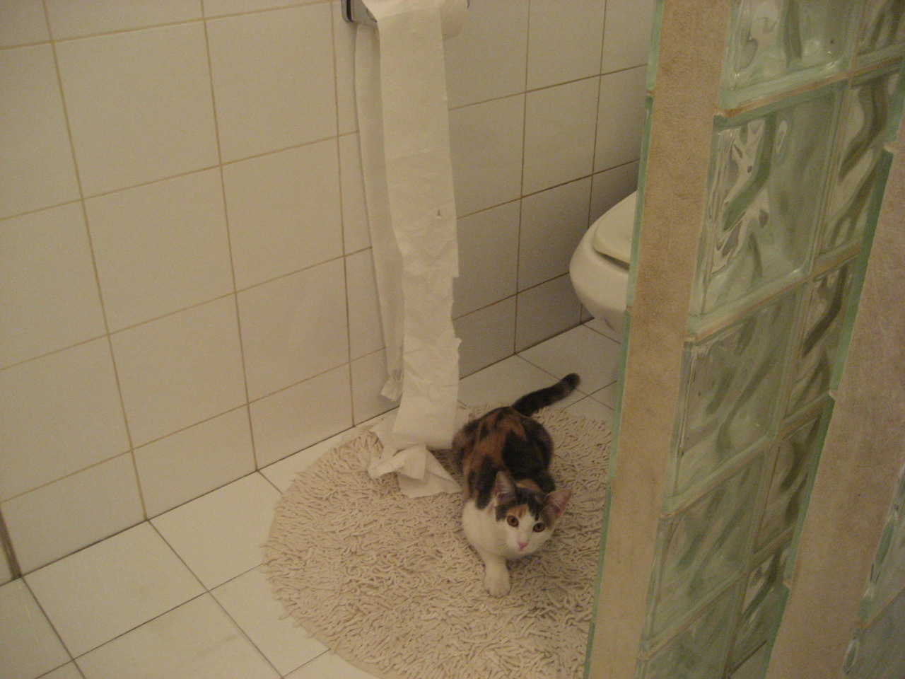 开云·体育官网-法兰克福中锋支点作用显著提升，法兰克福前锋