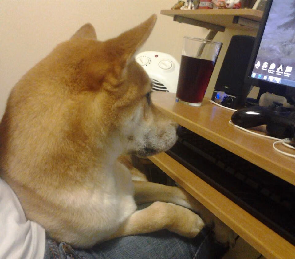 田径队伤病恢复进展良好,田径运动员伤病