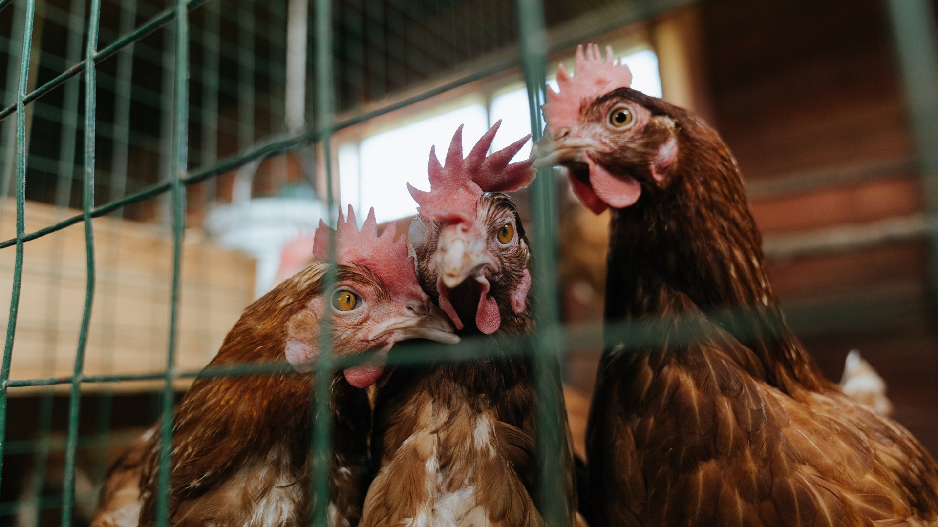 中超联赛试行智慧坐席系统提升观赛科技体验,中超智能