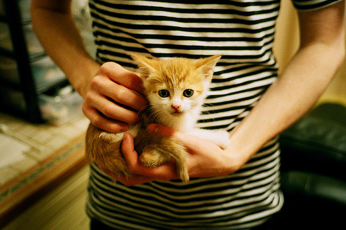 凯尔特人投篮训练课引媒体称赞节奏统一,凯尔特人投手