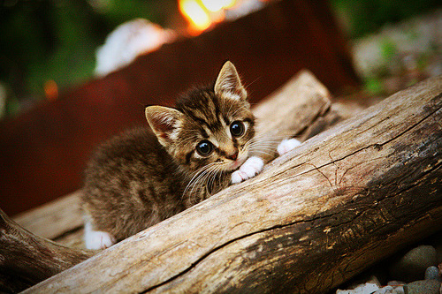 kaiyun体育综合-大型足球展在本地博物馆举行，推广足球文化，足球展览海报