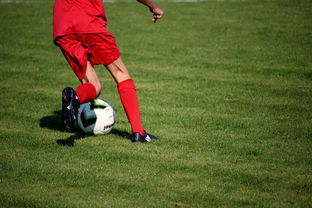 kaiyun官方入口登录-足球场馆数字化管理平台正式上线，提升运营效率，足球场管理系统app